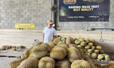 Gudang Durian Madding Sleman Dorong Wisata Kuliner dan Ekonomi Kreatif Lokal